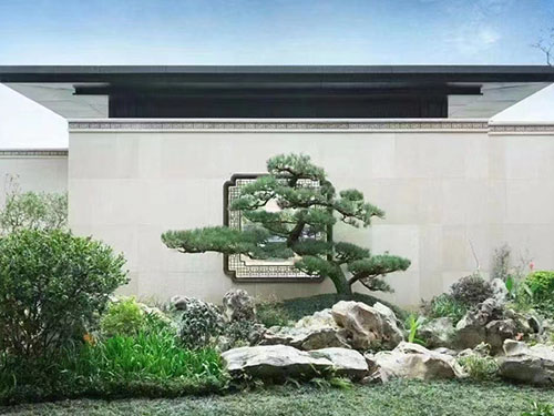 室內園林設計